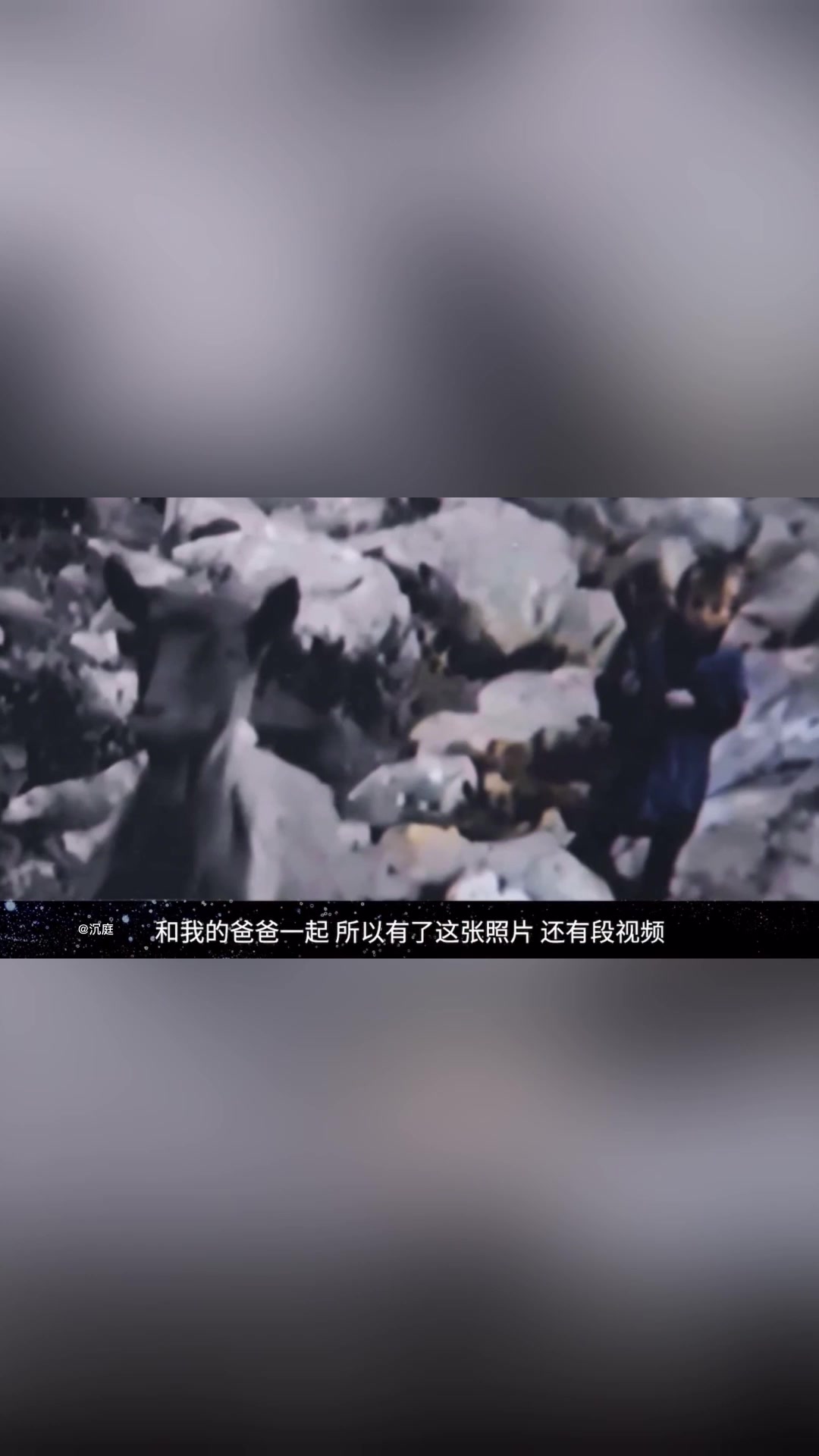 从放羊娃到足坛巨星!中场大师莫德里奇的励志人生!