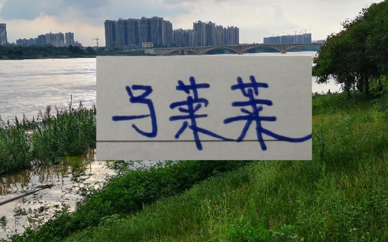 去年是申花马莱莱今年有可能是意甲的中场大连英博专找冠军核心