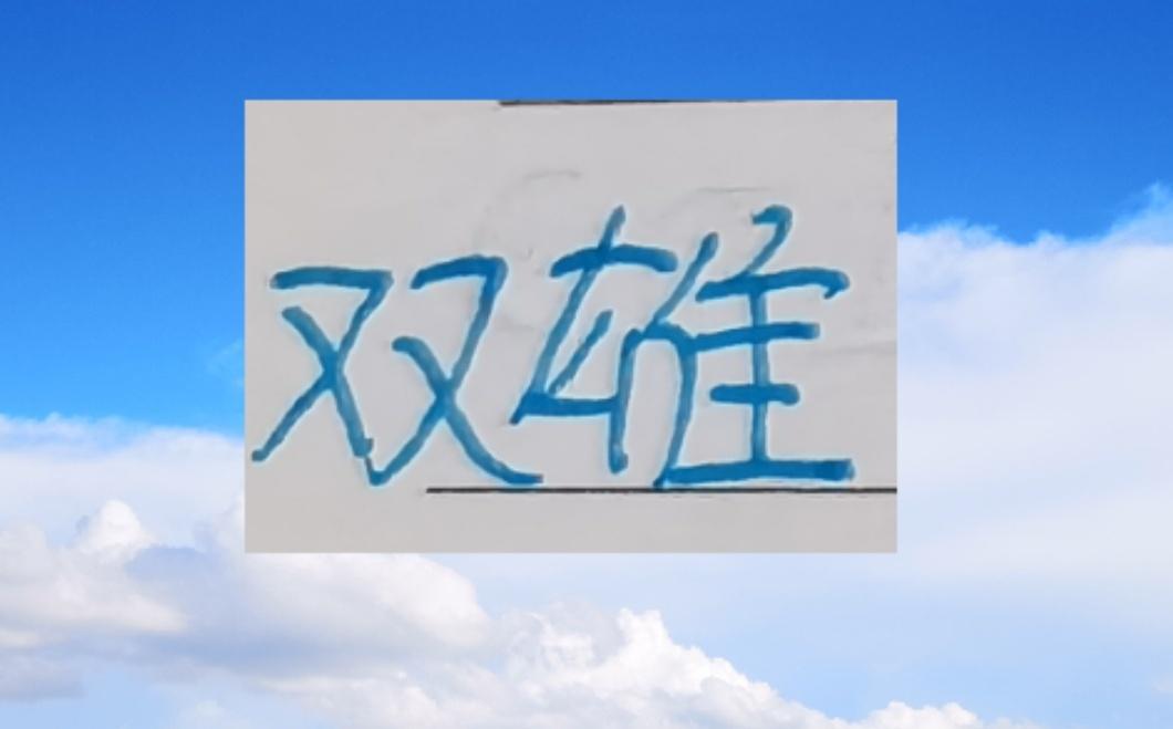 谁是中超最好边后卫申花就有马纳法海港有队长王燊超