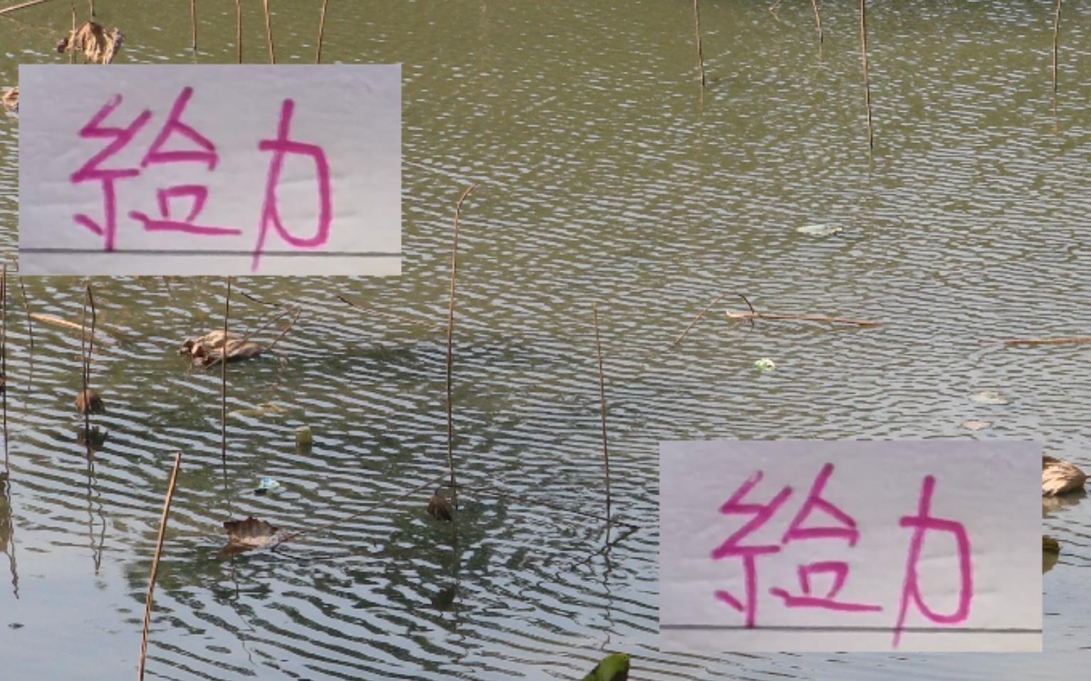 从海港的吾米提江到深圳拜合拉木中