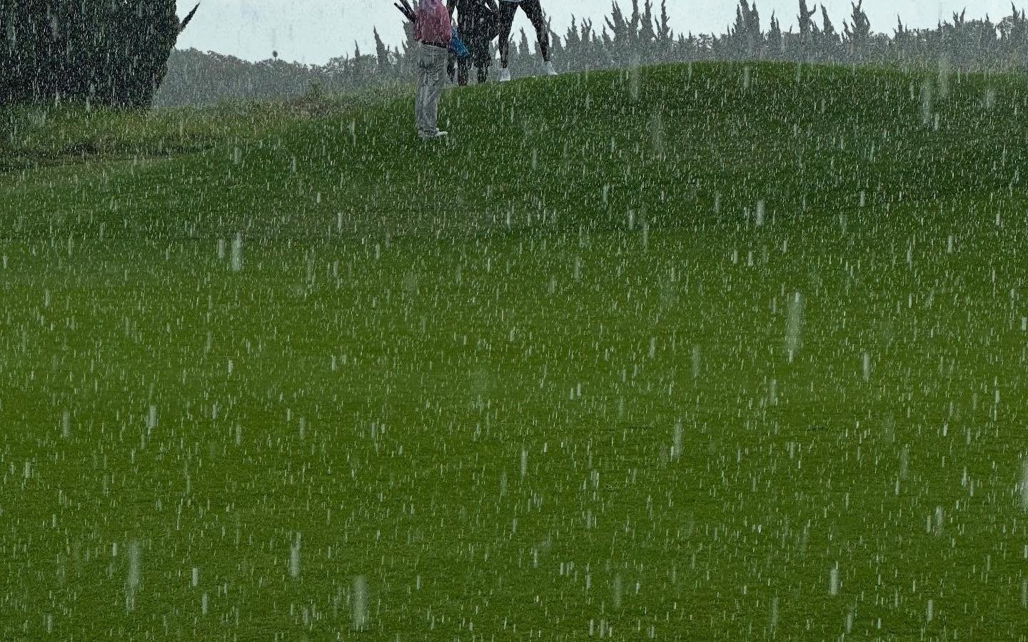 主业改了詹姆斯晒在成都冒雨打高尔夫视频：你能忍受下雨吗