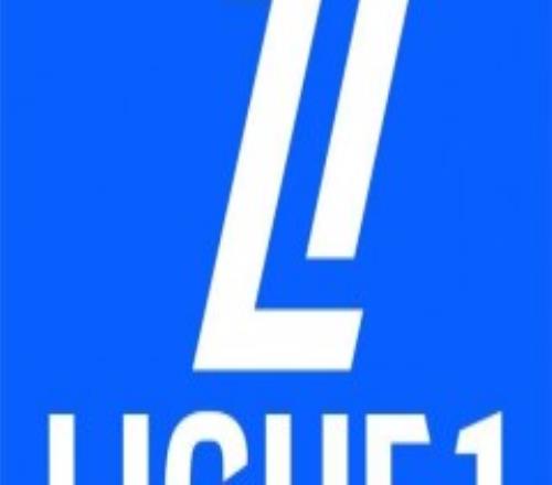 法甲裁判平均年薪约16万欧元 但与欧洲其他顶级联赛相比仍有差距