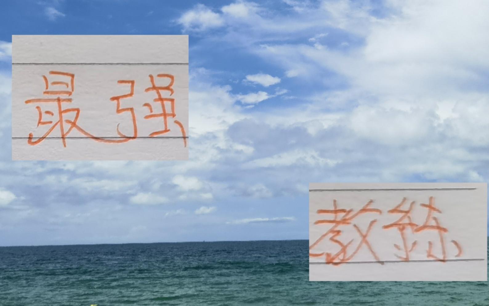 中超最强救火教练！河南葡萄牙洋帅先