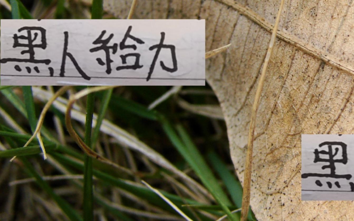 本赛季最实用黑人北京国安有发飙海