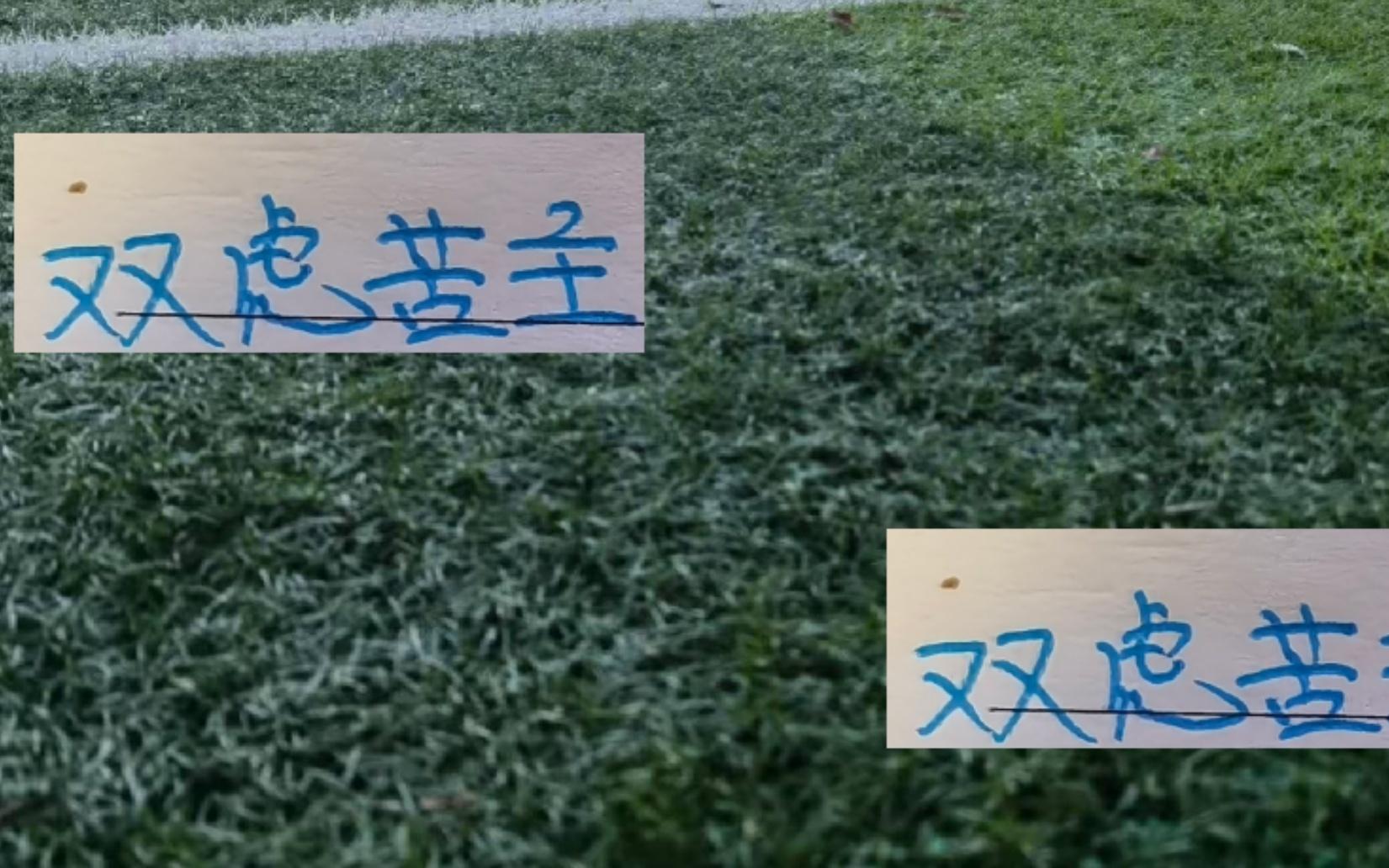 卡扎真是上海双虎苦主！他打申花进了3个球打海港又进球