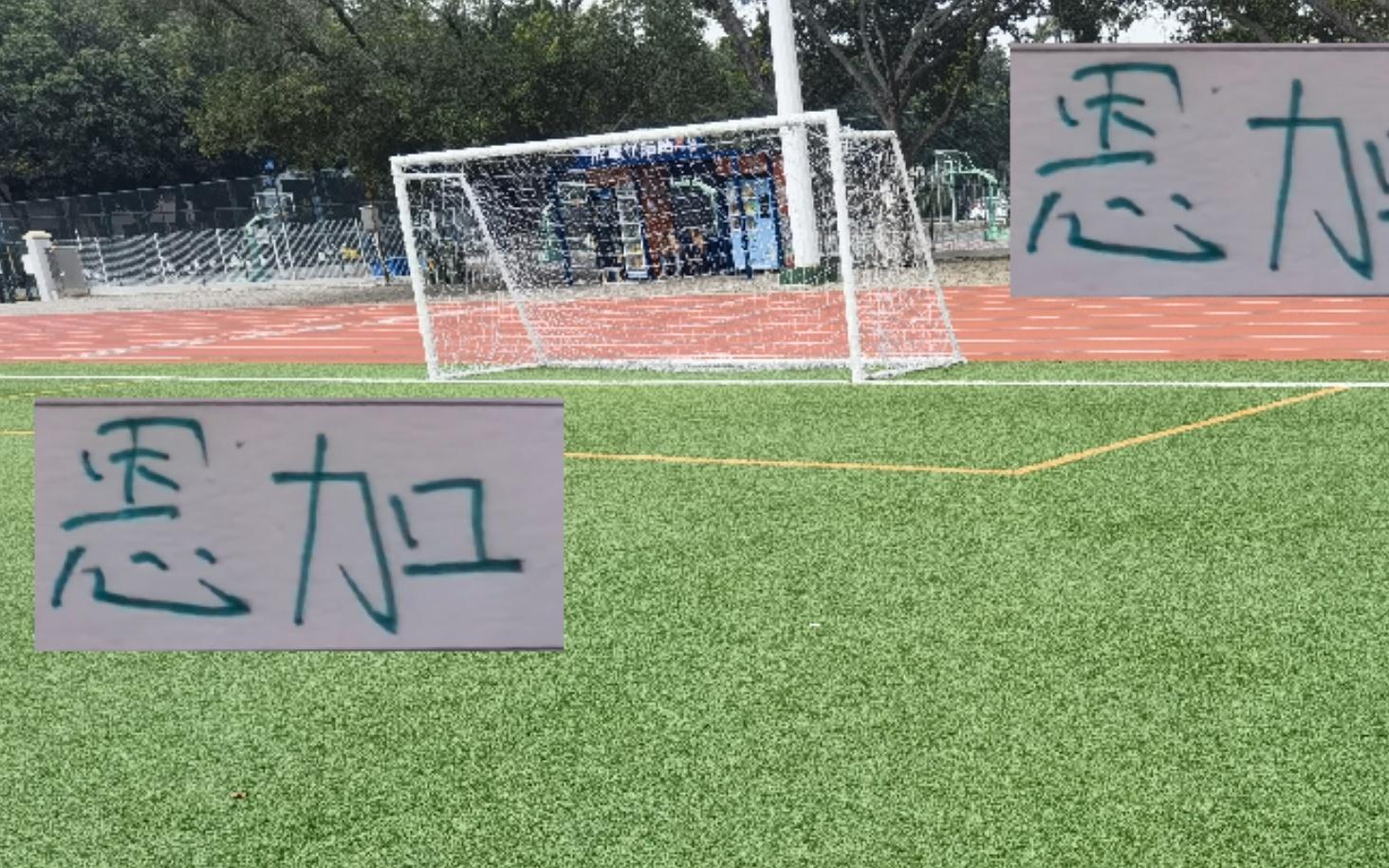 进球是恩加！丢球也是喀麦隆国脚！