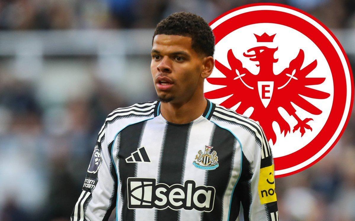 德天空：法兰克福和纽卡前锋奥苏拉达