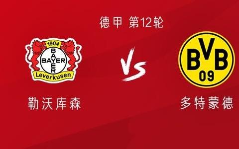 勒沃库森vs多特：希克PK吉拉西阿德耶