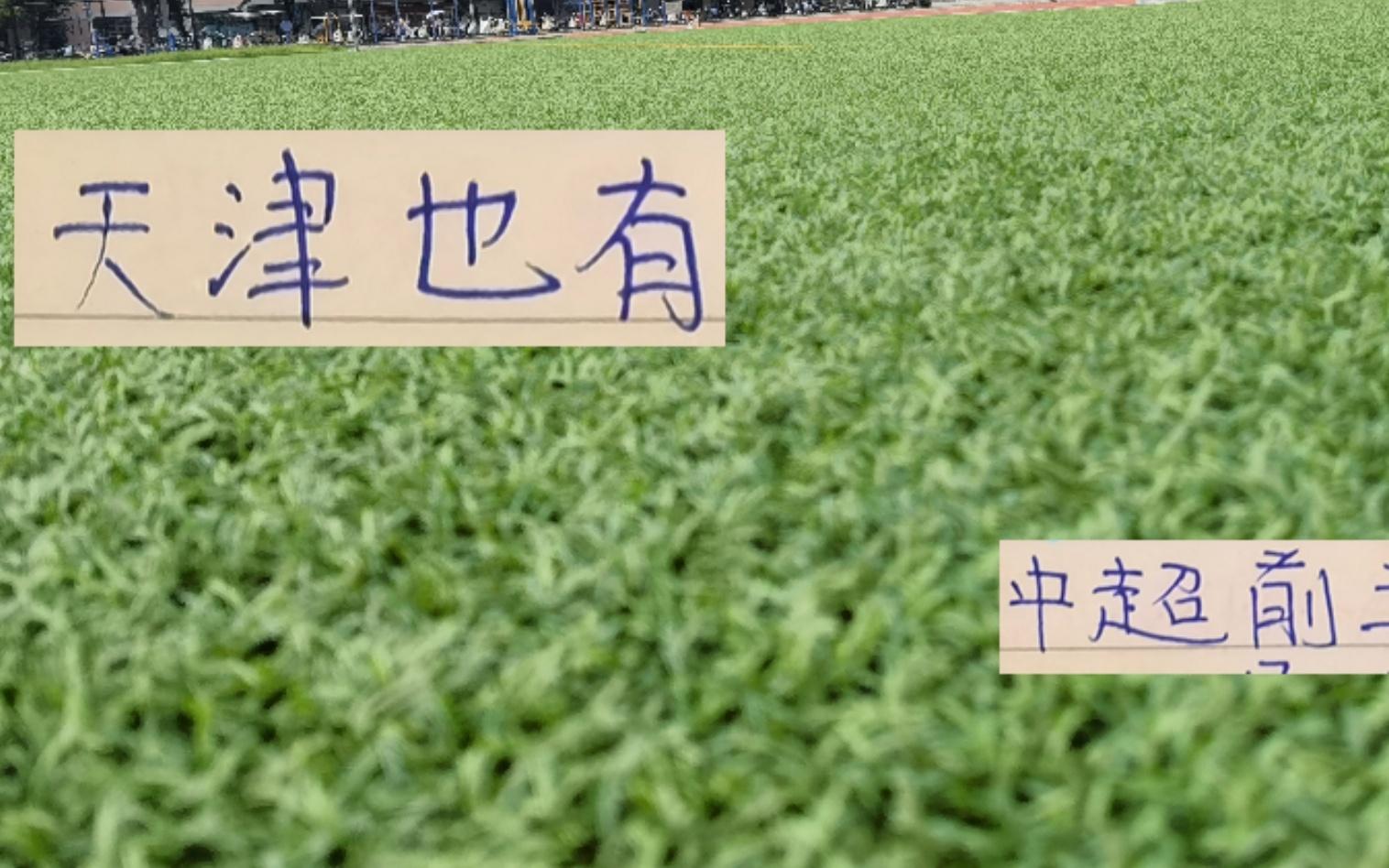 天津真要拼刺刃时候！不管海港还是成