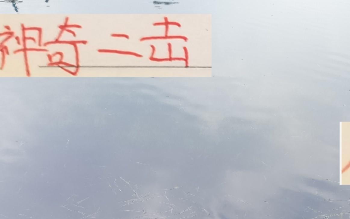 神奇二击！海港跟申花前15轮拿分第一后半程突然拉胯了