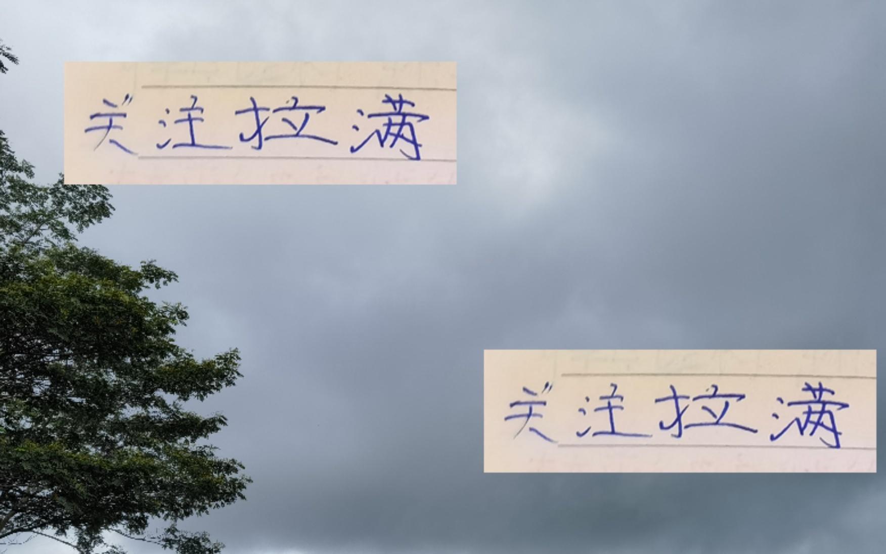 关注度拉满！申花战成都北京国安遇海港都有CCTV直播都有洋哨