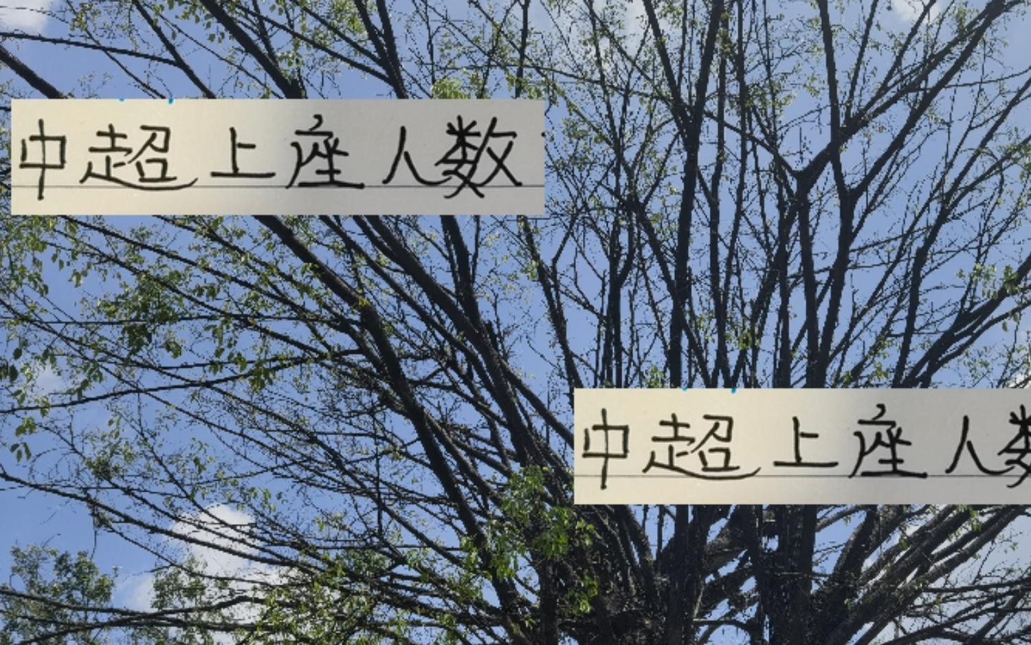 没想到！中超上座率之王是两解散球队
