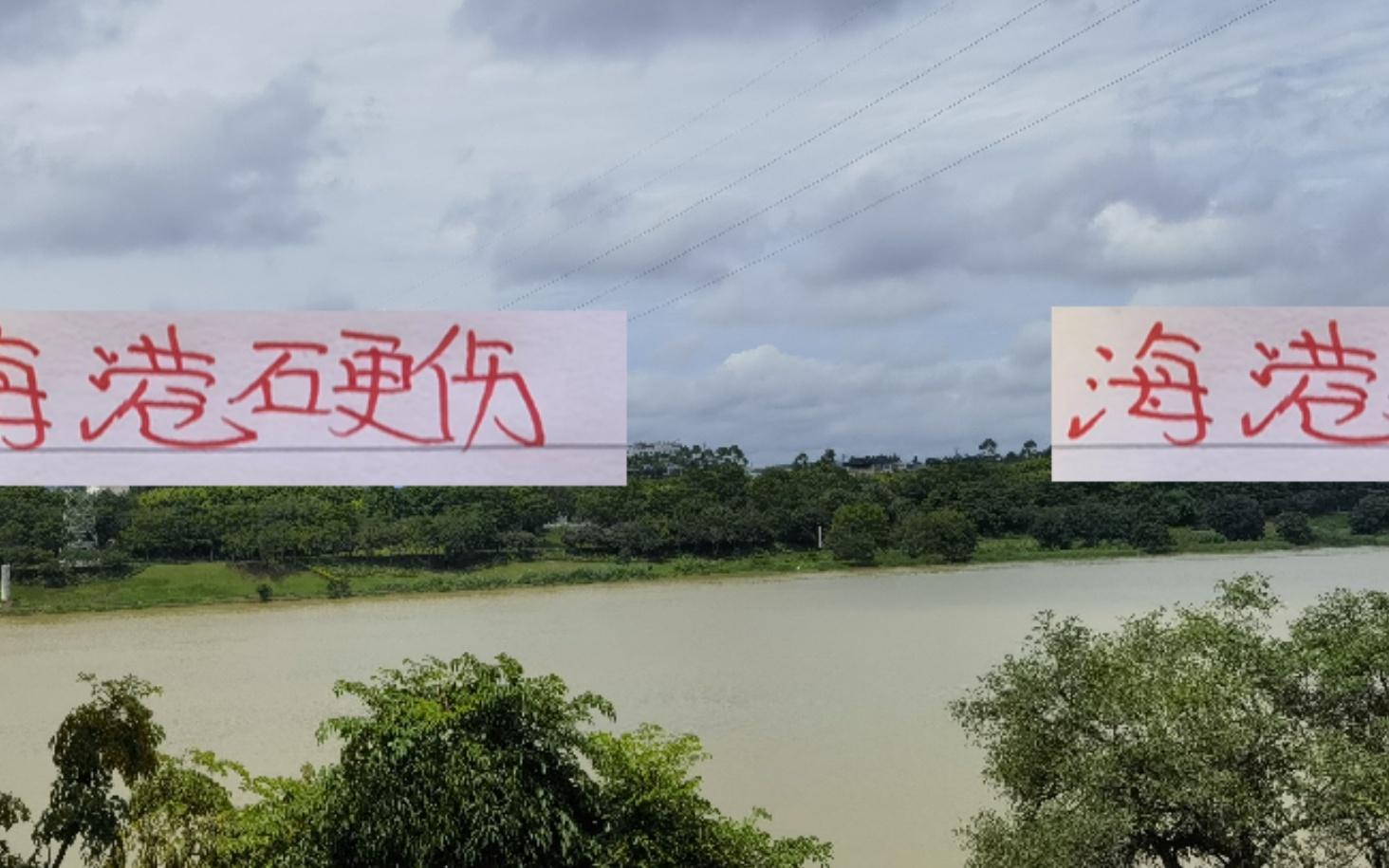 除海港外！前5主場都有超4萬場次海港球迷不夠隔壁多也是硬傷