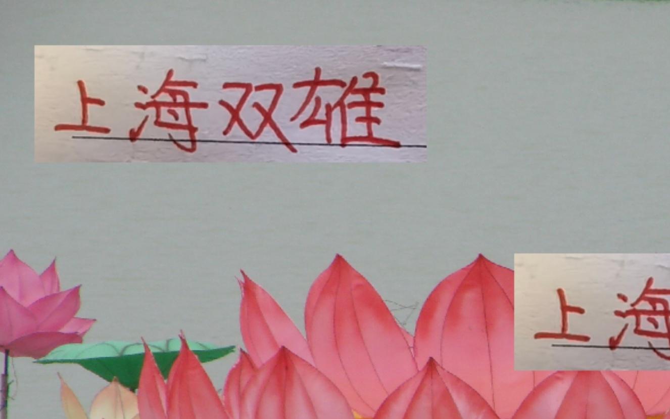 又是上海双雄争冠！万一海港是冠军申