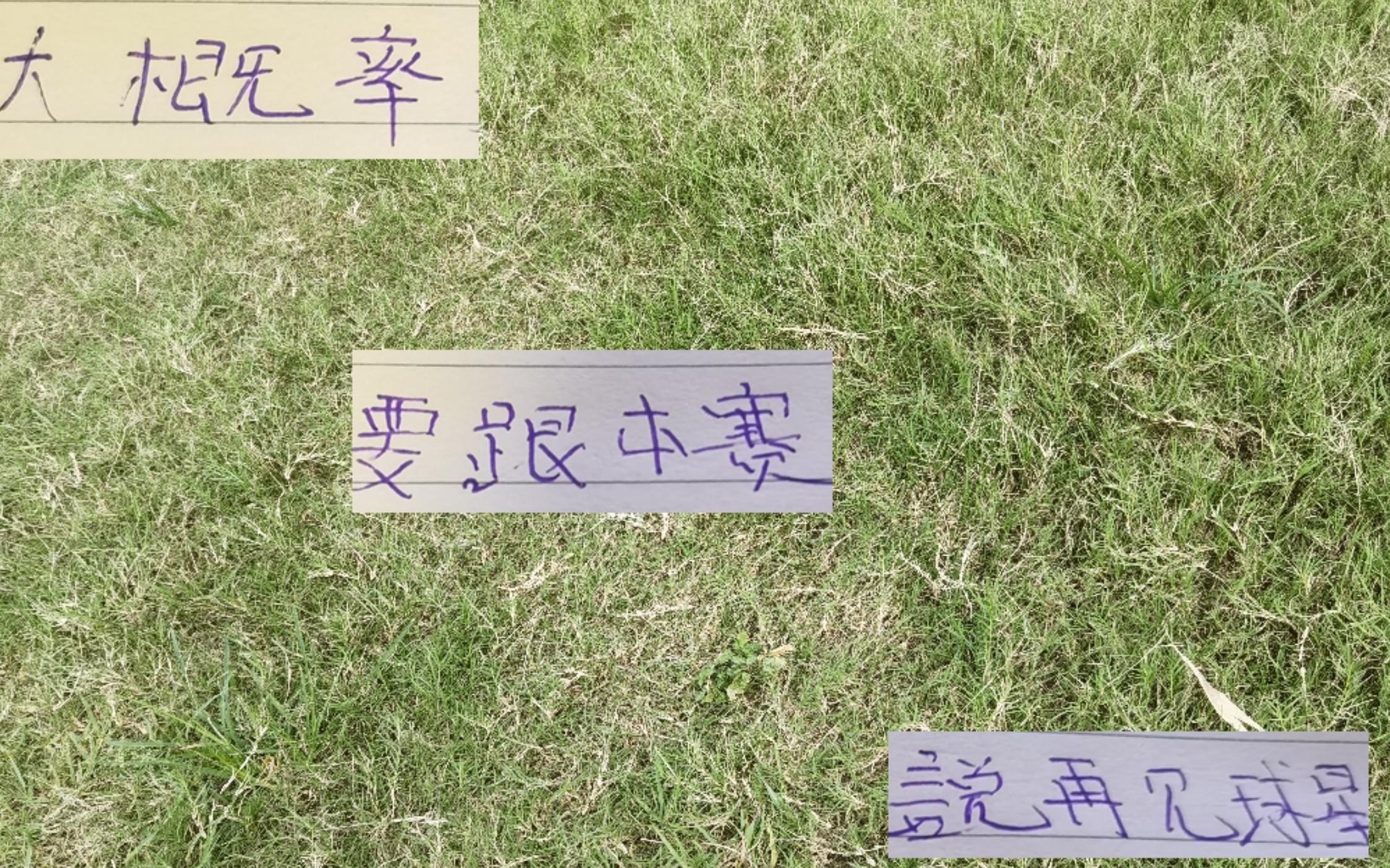 中超还剩十轮要跟本赛季说再见球星
