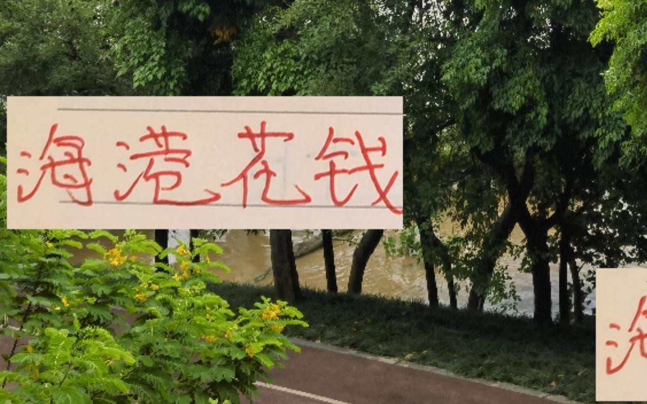 海港花錢(qián)至少聽(tīng)見(jiàn)響申花也聽(tīng)見(jiàn)一點(diǎn)