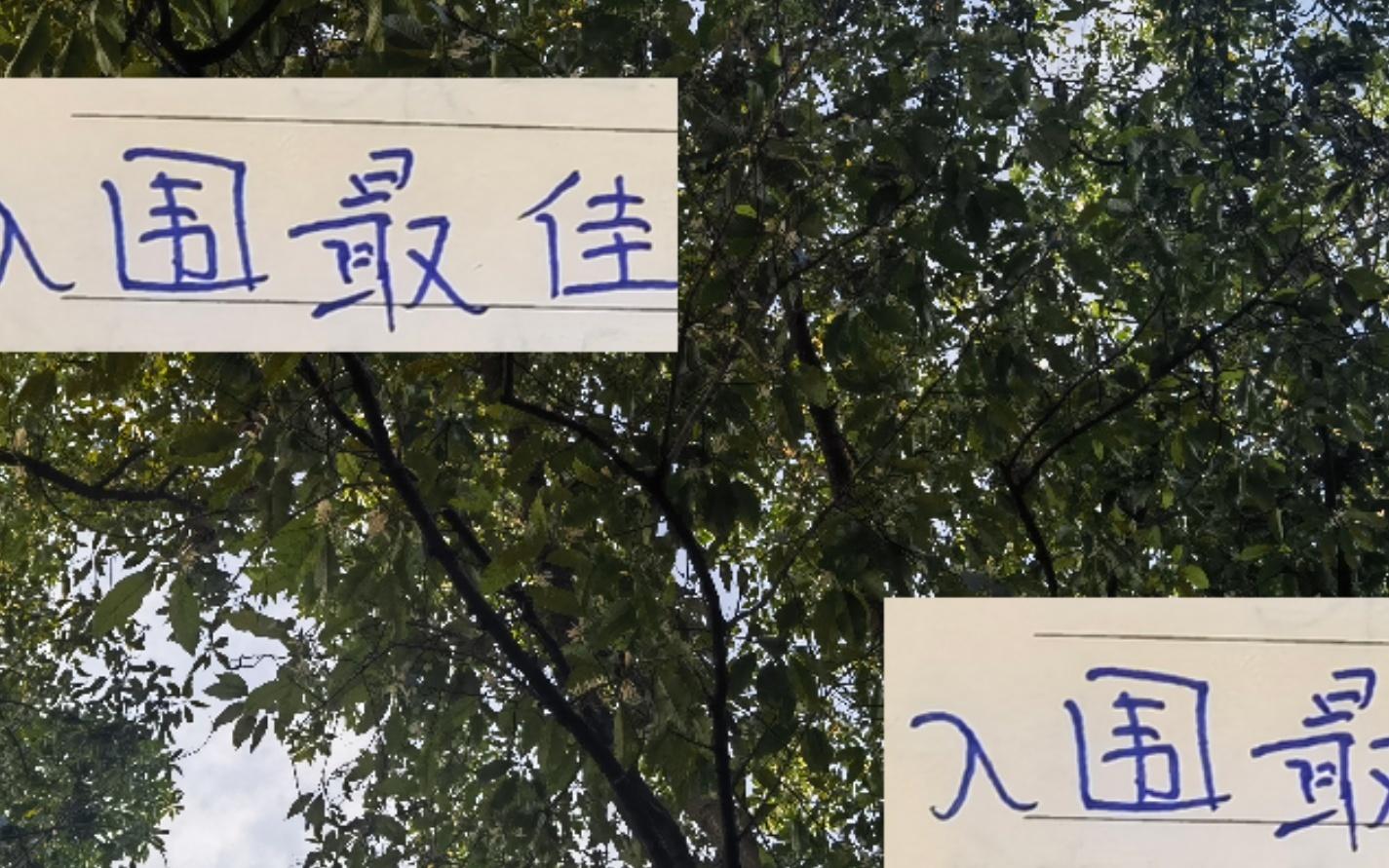 上海雙雄入圍中超最佳單輪候選海港