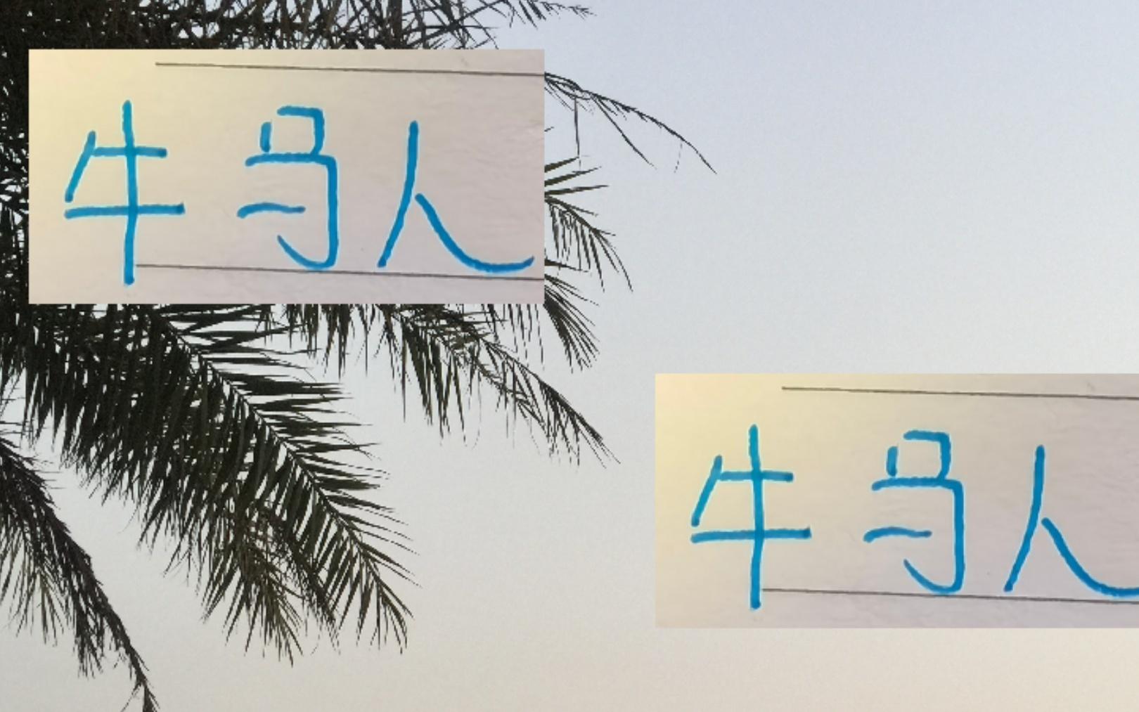 都是牛马人！申花明年要想夺冠最重要还是外援出勤率而不是效率