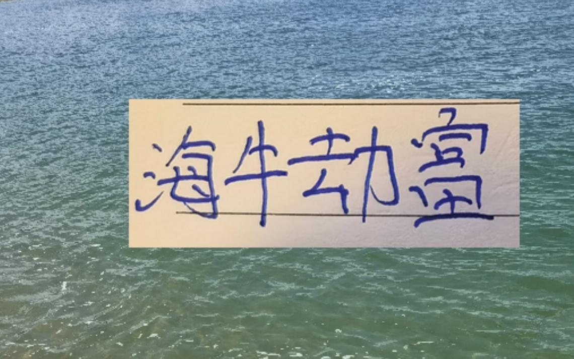 海牛劫富濟貧！接連在山東成都北京國