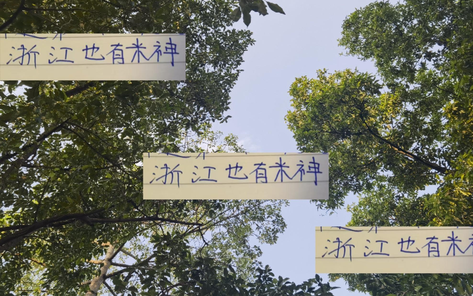 算是鼓舞士气！浙江迎战申花前米特里