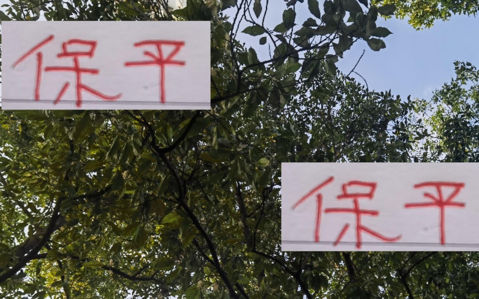 保平就能夺冠！但海港肯定还是会争胜一年赢19场不是吹的