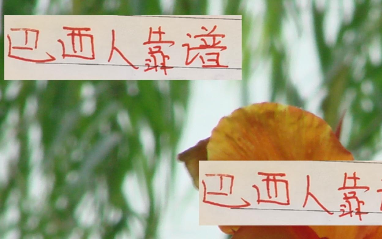 還是巴西外援靠譜！從海港巴西幫再到河南桑巴壯漢！