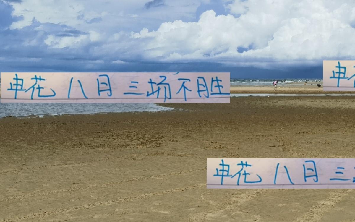 轮到申花“司机”踩急刹车！云南站海港站浙江站都路路不通