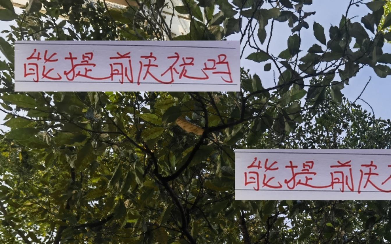 海港能提起开香槟吗除非最后一轮领
