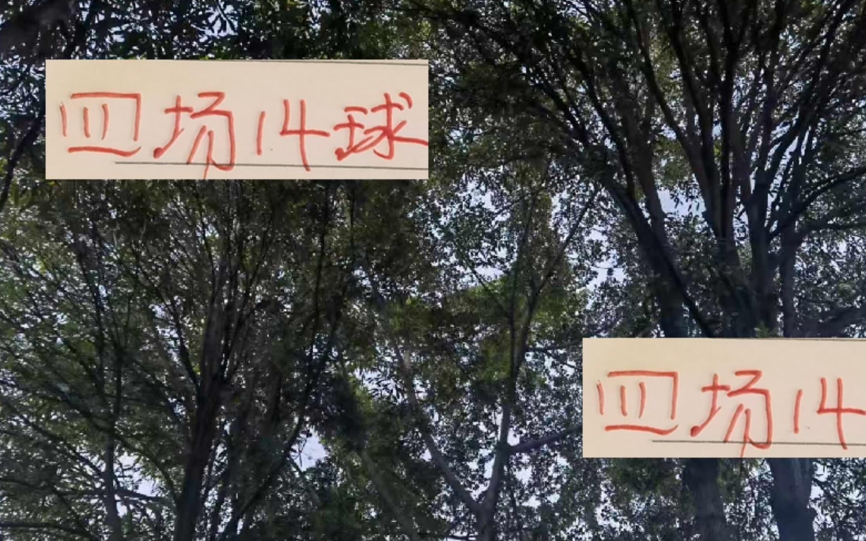 太帅了！4场14球！海港莱昂纳多就占了一半不愧是武磊接班人