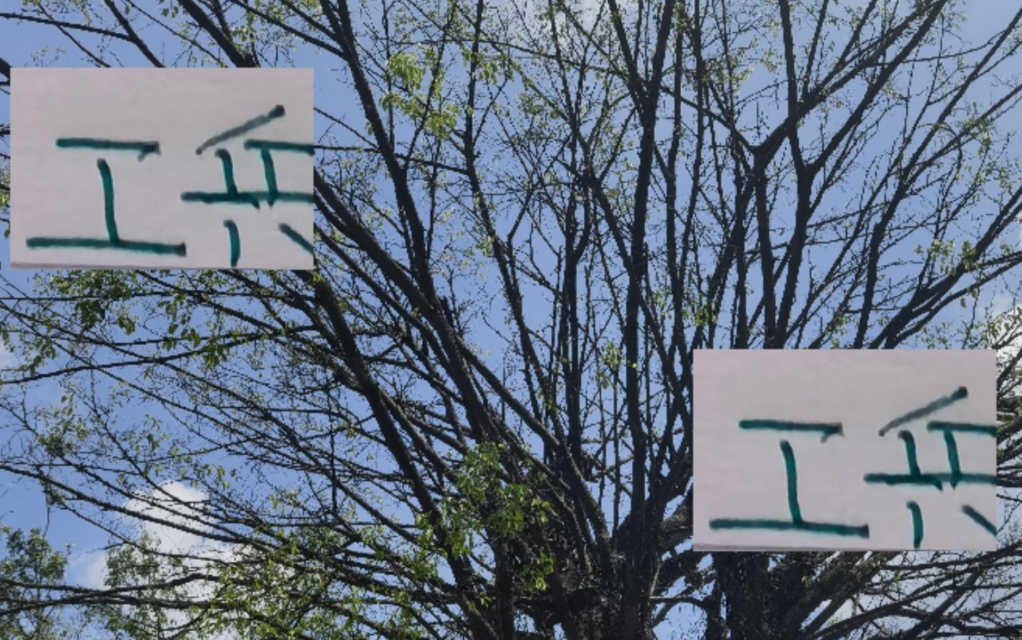 有意思！海港+成都+北京国安工兵中场今年合同全部到期