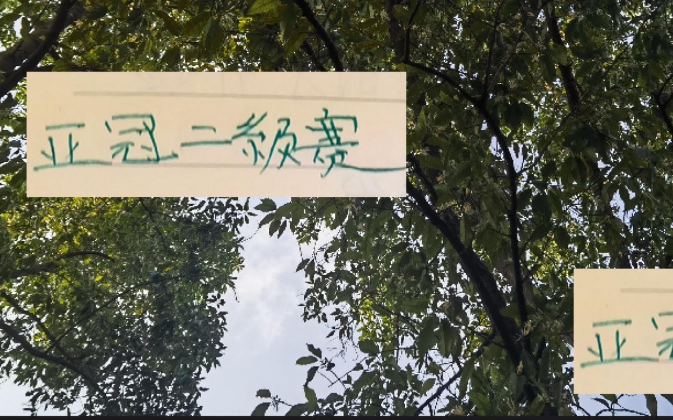 亞冠二級聯(lián)賽北京國安也是抄申花作業(yè)就是一個外援首發(fā)！