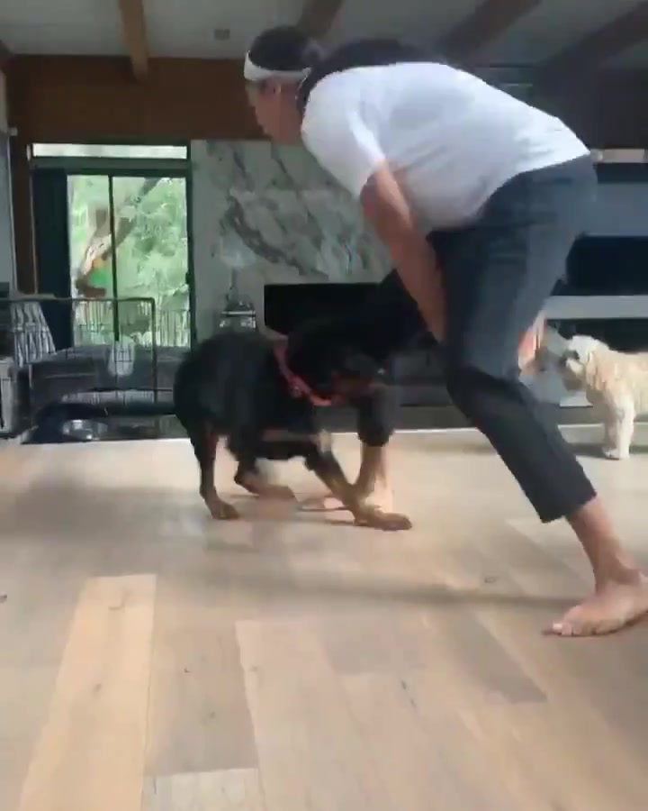 帕克打我就跟打这狗子一样轻松吧