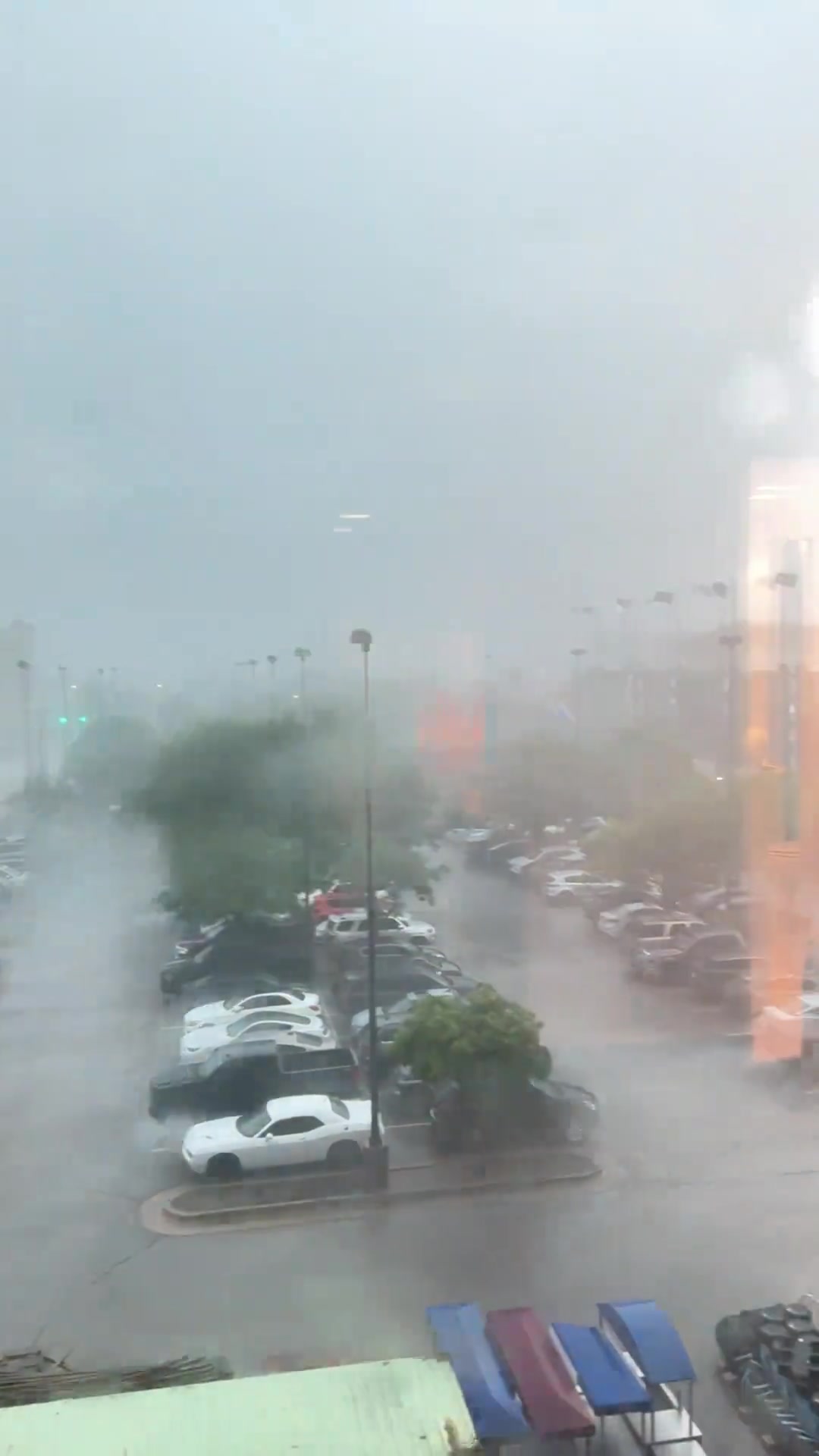 吓人！周玲安：刚落地俄克拉荷马就倾盆大雨加龙卷风