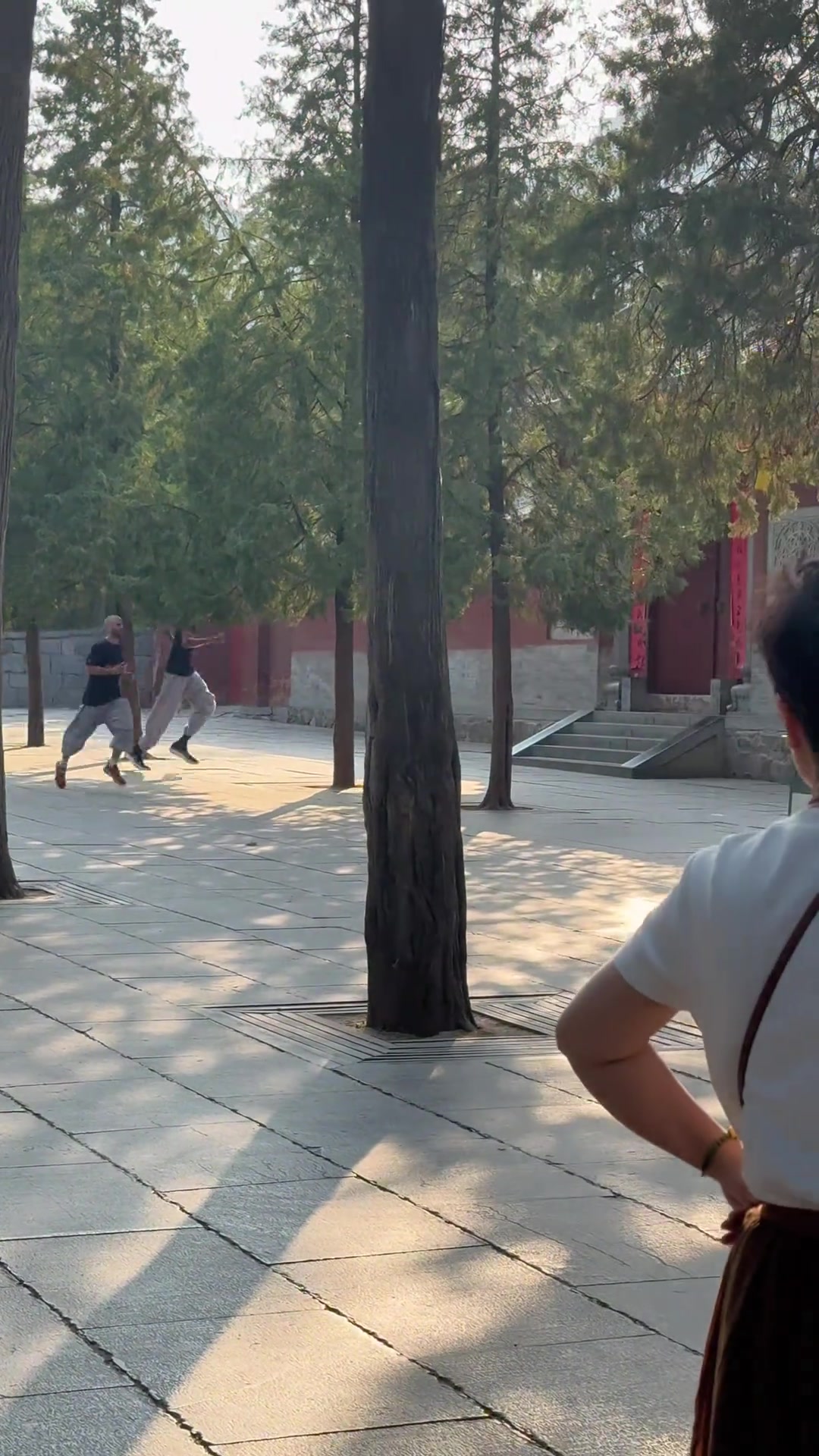下山要闯十八铜人阵吗少林寺第一高僧文班亚马集训的第五天